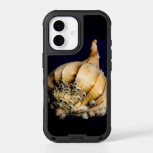 Sea Snail Shell with Barnacles iPhone 17 Case