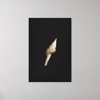Sea Spindle Canvas Print