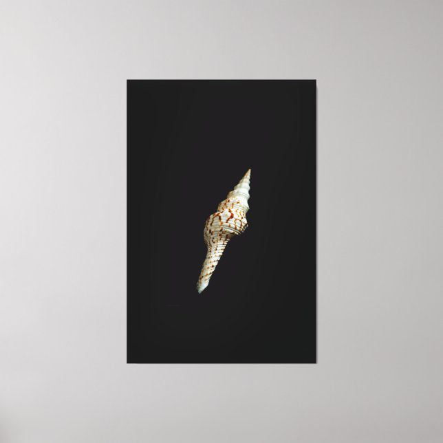 Sea Spindle Canvas Print (Front)