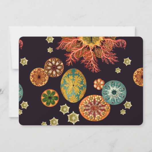 Sea Squirt Remix (Front)