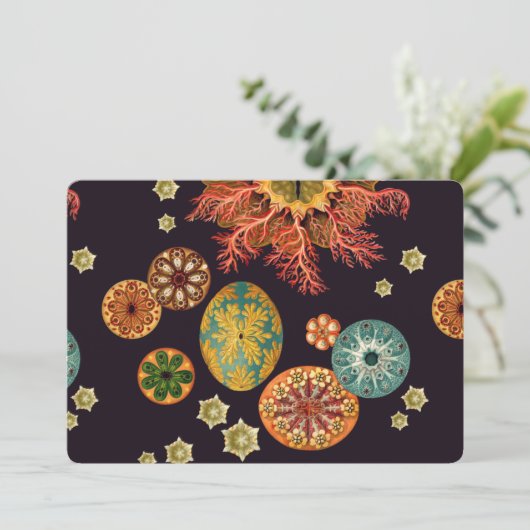 Sea Squirt Remix (Standing Front)