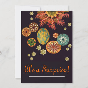 Sea Squirt Remix Invitation