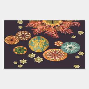 Sea Squirt Remix Stickers