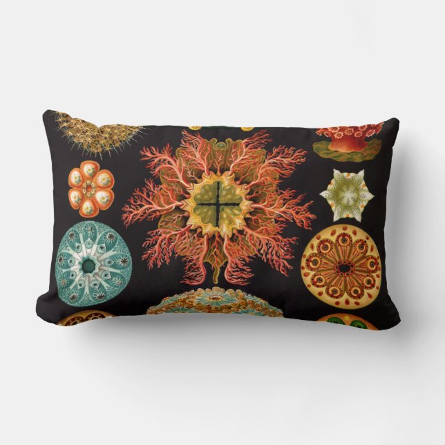 Sea Squirt Square Lumbar Pillow (Front)