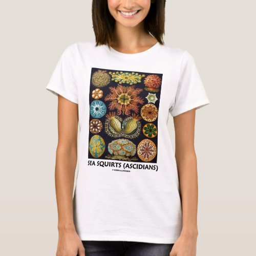 Sea Squirts Ascidians _ Artforms Of Nature T_Shirt