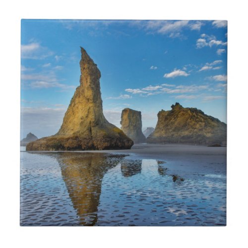 Sea Stacks on Bandon Beach in Bandon Oregon 3 Tile