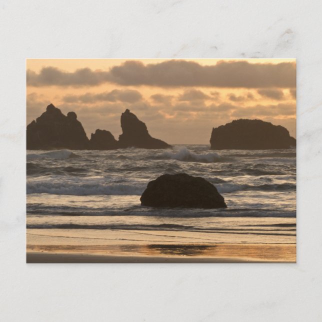 Sea stacks on the beach at Bandon, Oregon Postcard (Front)