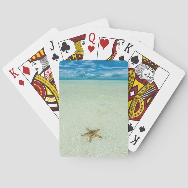 Sea star in shallow water, Palau Poker Cards (Back)