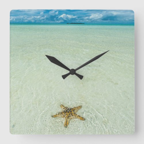 Sea star in shallow water Palau Square Wall Clock