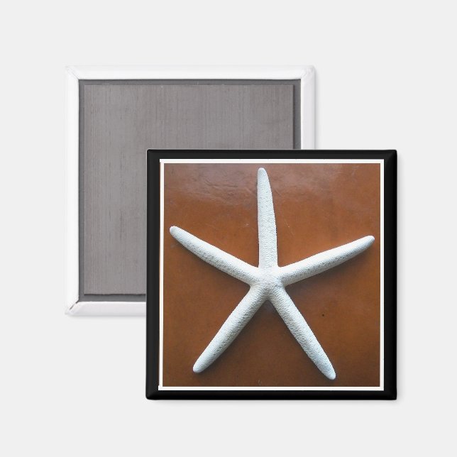 Sea Star Magnet (Front/Back)