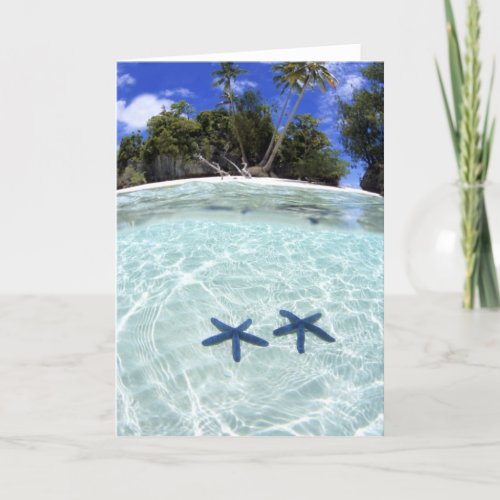 Sea stars Rock Islands Palau 2 Card