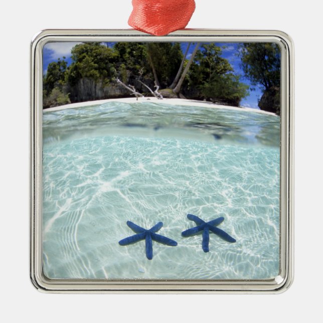 Sea stars, Rock Islands, Palau 2 Metal Ornament (Front)