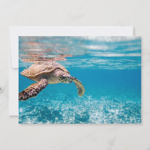 Sea turtle personalized invitation