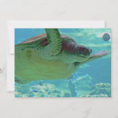 Sea Turtle (Front)