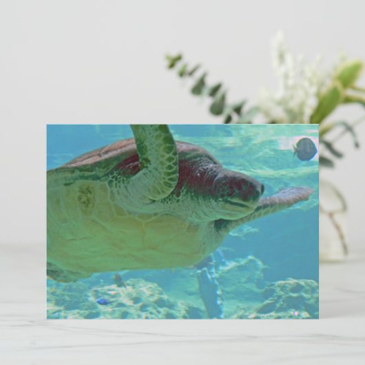 Sea Turtle (Standing Front)