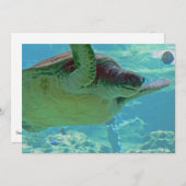 Sea Turtle (Front/Back)