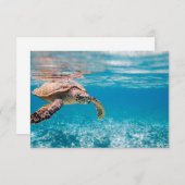Sea turtle (Front/Back)