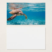 Sea turtle (Front & Back)