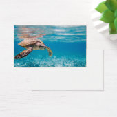 Sea turtle (Desk)