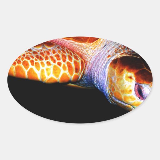 Sea Turtle 1 Oval Sticker