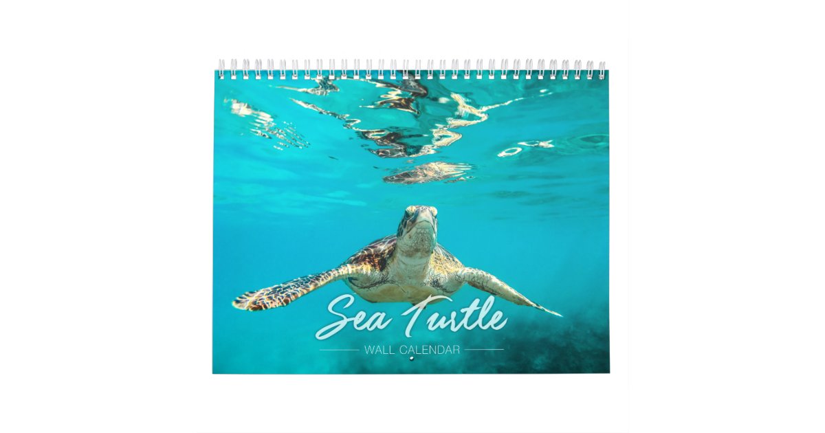 Sea Turtle 2019 Wall Calendar Zazzle com