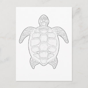 Sea Turtle Adult Coloring Postcard