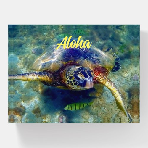 Sea Turtle Aloha Paperweight