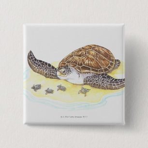Sea Turtle and Babies Pinback Button
