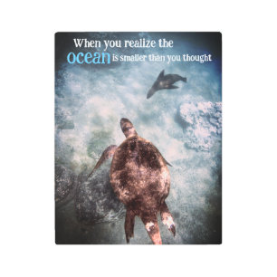 Sea turtle and sea lion underwater metal print