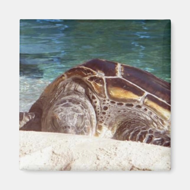 Sea Turtle Art Refrigerator Magnet (Front)
