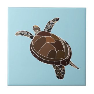 Sea Turtle Beach House
