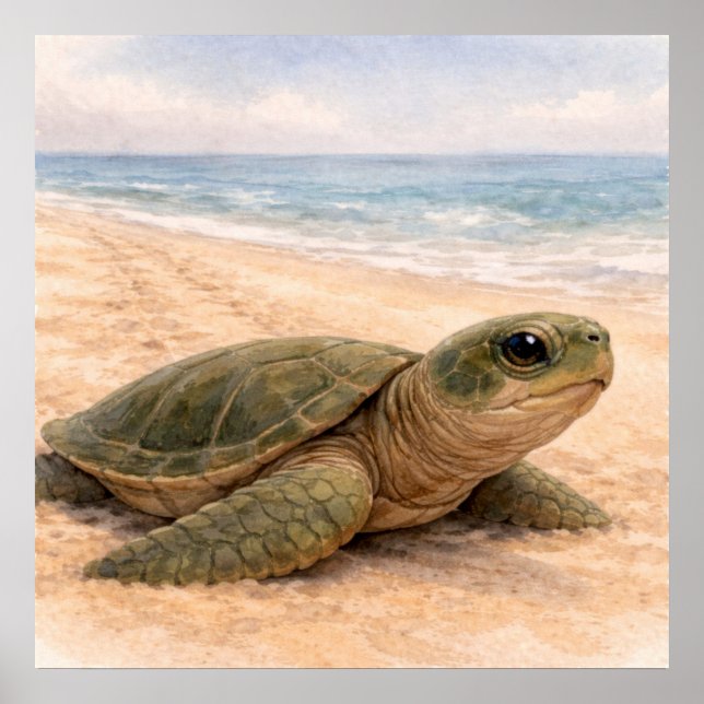 Sea Turtle Beach  Poster (Front)