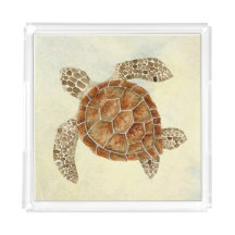 Sea Turtle Beach Sand Coastal Ocean Seashore