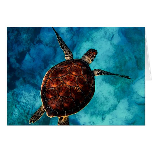 Sea Turtle Beauty Cards (Front Horizontal)