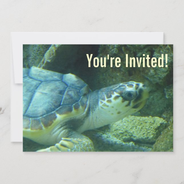 Sea Turtle Birthday Invitation (Front)