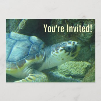 Sea Turtle Birthday Invitation by FrogCreek at Zazzle