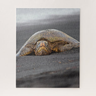 Sea Turtle Black Sand Beach Hawaii - 16x20- 520 pc Jigsaw Puzzle
