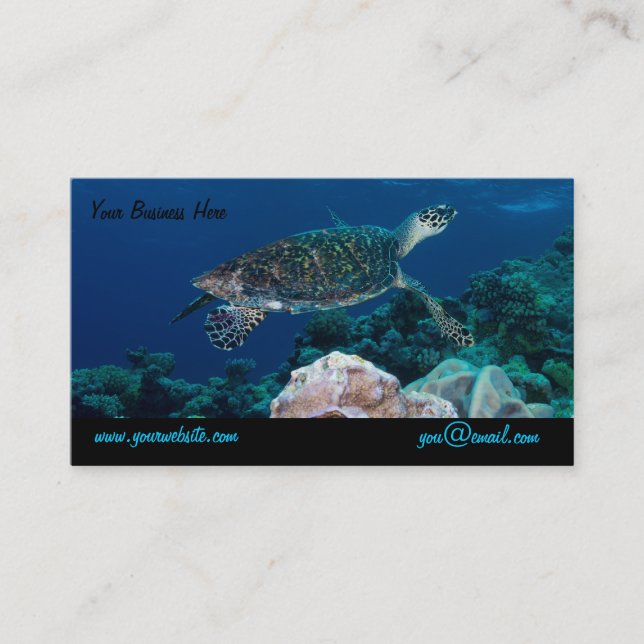 Sea Turtle Business Card (Front)