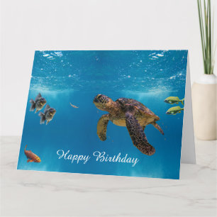 Sea Turtle Card
