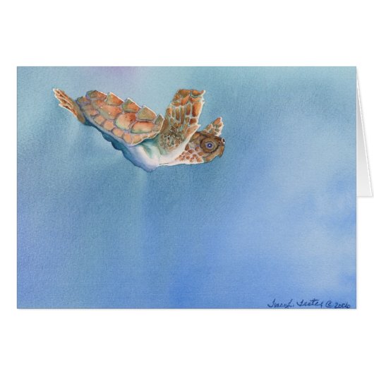 sea turtle cards (Front Horizontal)