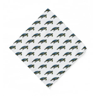 Sea turtle cartoon illustration bandana
