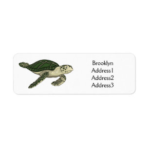 Sea turtle cartoon illustration label