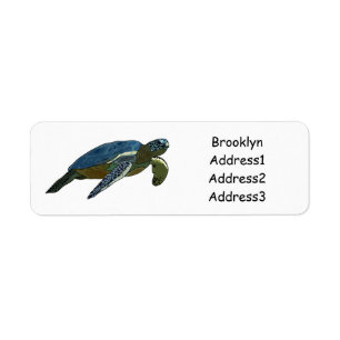 Sea turtle cartoon illustration label