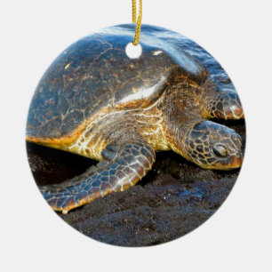 Sea Turtle Ceramic Ornament