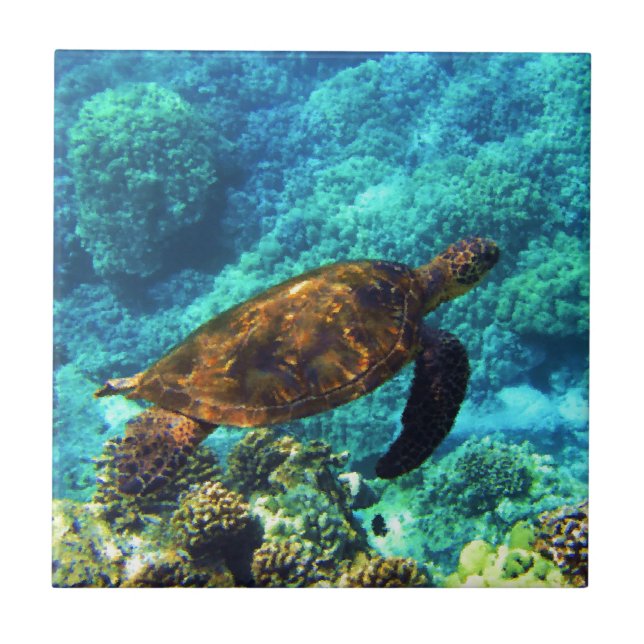 sea turtle ceramic tile (Front)