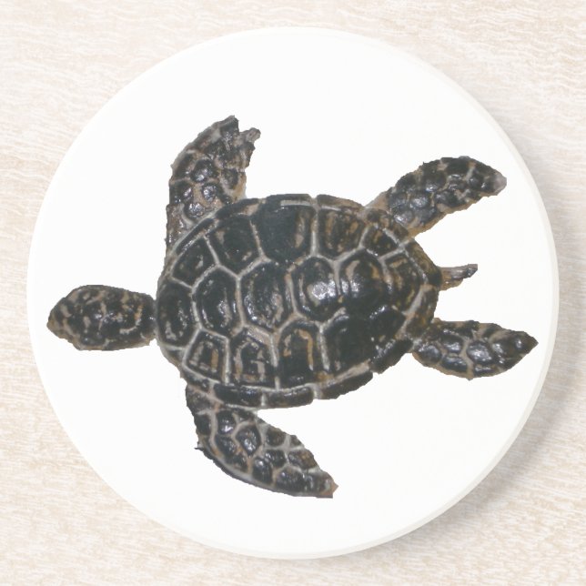 Sea Turtle Coaster (Front)