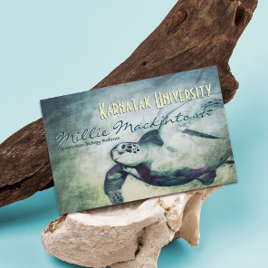 Sea Turtle / Conservation Biology Professor Cards