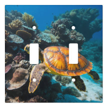Sea Turtle Coral Reef Underwater