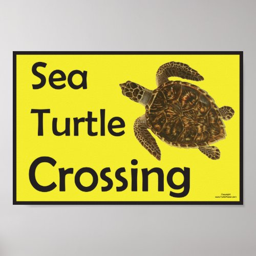 Sea Turtle Crossing Caution Poster