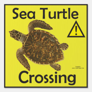 Sea Turtle Crossing Caution Sign